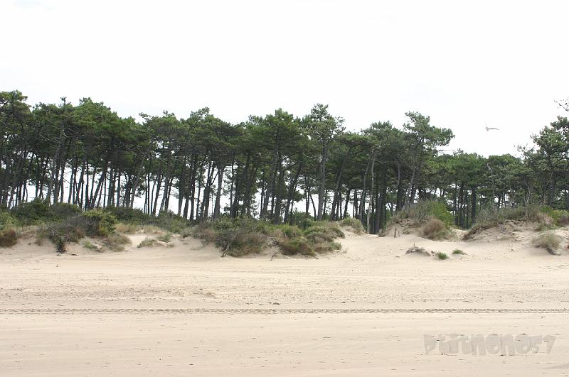 15-08-2008 548.jpg